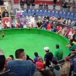 Adiós a las galleras como la San Miguel, el lugar que atrapó apostadores por 70 años