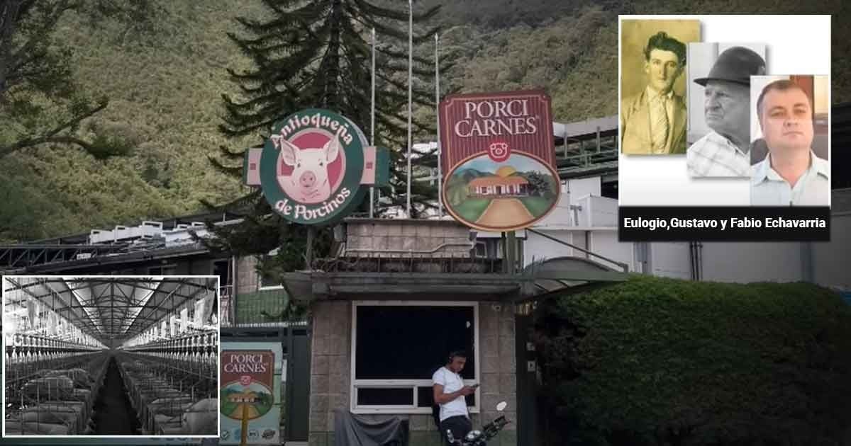 Criando cerdos para la familia, don Eulogio Echavarría le dio vida al emporio Antioqueña de porcinos