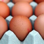 El truco para guardar los huevos y que duren más tiempo frescos y casi nadie conoce El truco para guardar los huevos y que duren más tiempo frescos y casi nadie conoce
