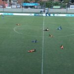 Susto en partido de Millonarios: insectos obligaron a parar contra Envigado