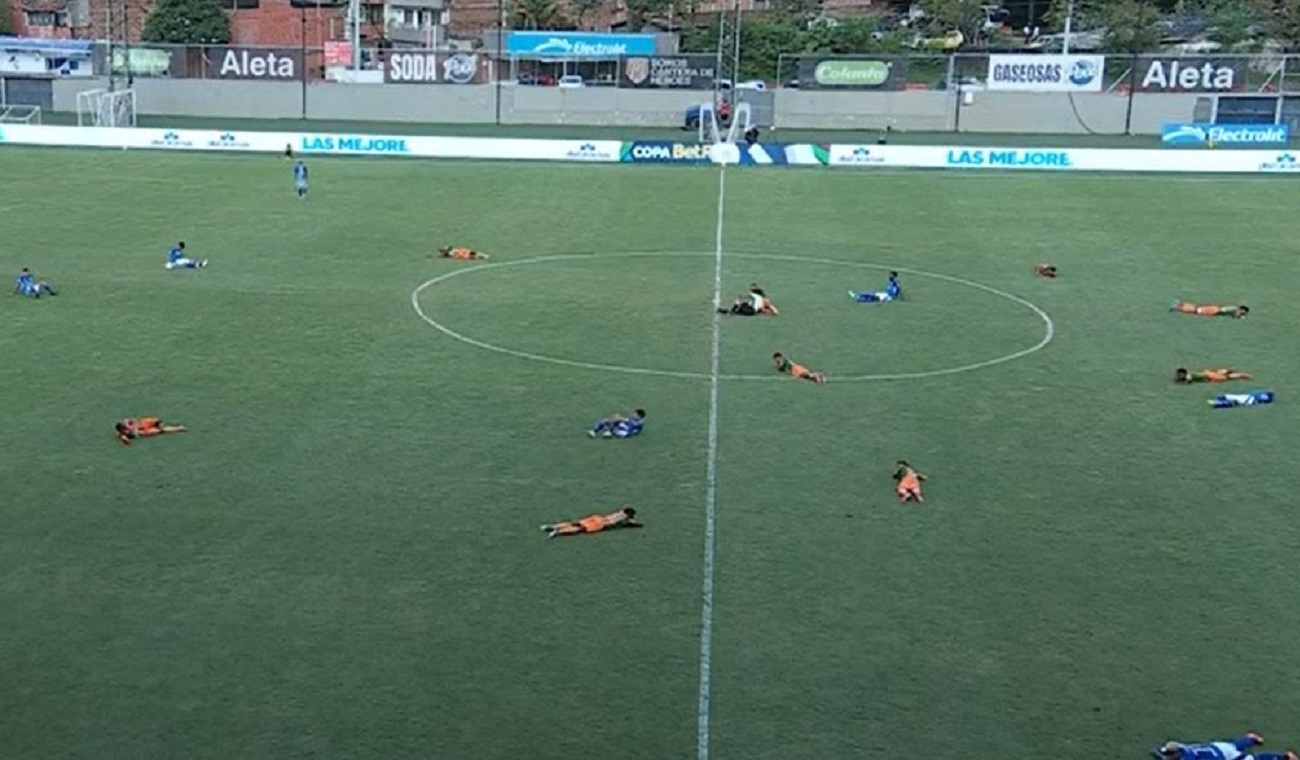 Susto en partido de Millonarios: insectos obligaron a parar contra Envigado