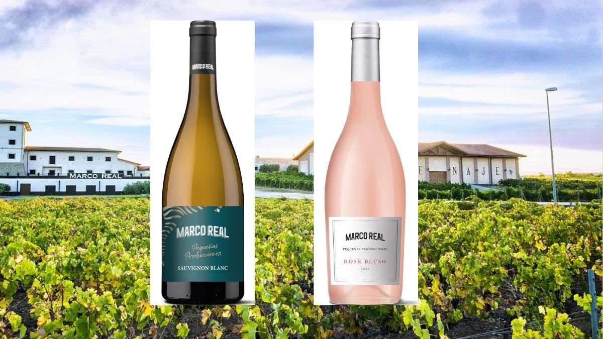 Sauvignon Blanc en Navarra: así se adaptó la uva francesa al terruño foral