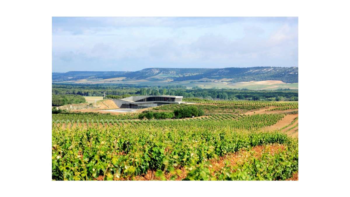 El Trío de Ases de Lagar de Proventus El Trío de Ases de Lagar de Proventus