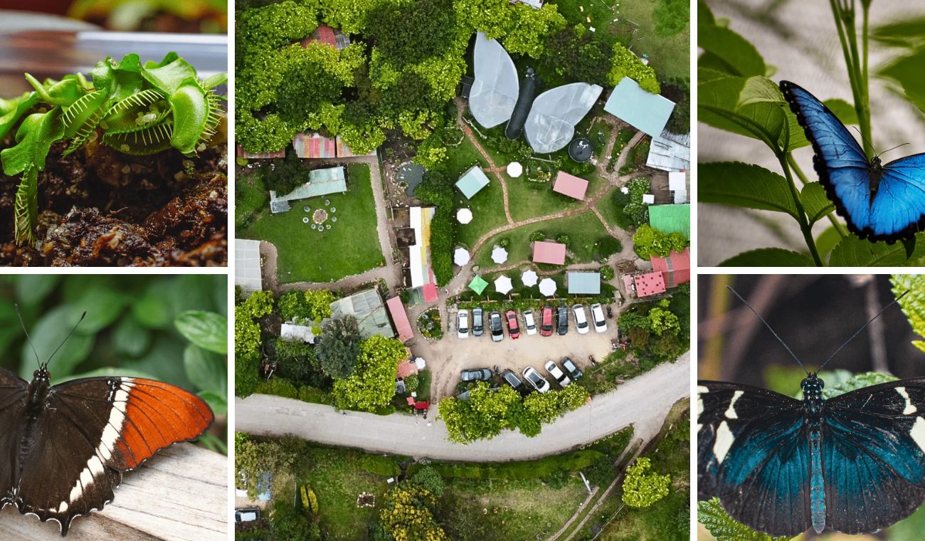 Bioparque Monarca: aventura familiar en Tenjo con mariposario incluido