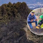 Cerros Orientales reverdecen: la siembra equivale a 41 canchas de fútbol