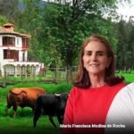 el imperio taurino que la familia Rocha perdió pagando las deudas de la pirámide ganadera