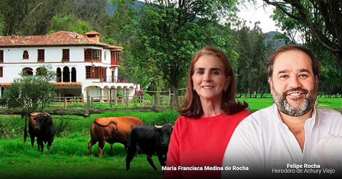 el imperio taurino que la familia Rocha perdió pagando las deudas de la pirámide ganadera el imperio taurino que la familia Rocha perdió pagando las deudas de la pirámide ganadera
