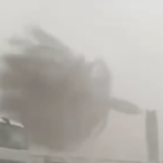 el viento parte una palmera por la mitad en Catral