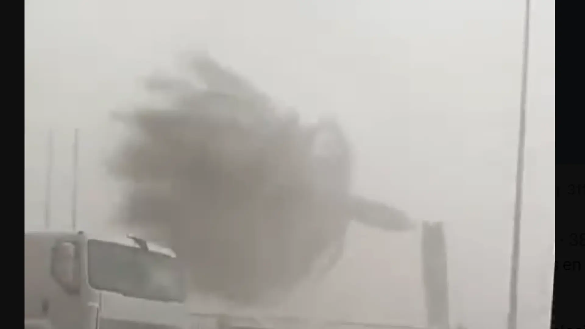 el viento parte una palmera por la mitad en Catral