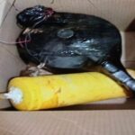 Noticias Antioquia: Policía frustró atentado en Estación de Policía Amalfi