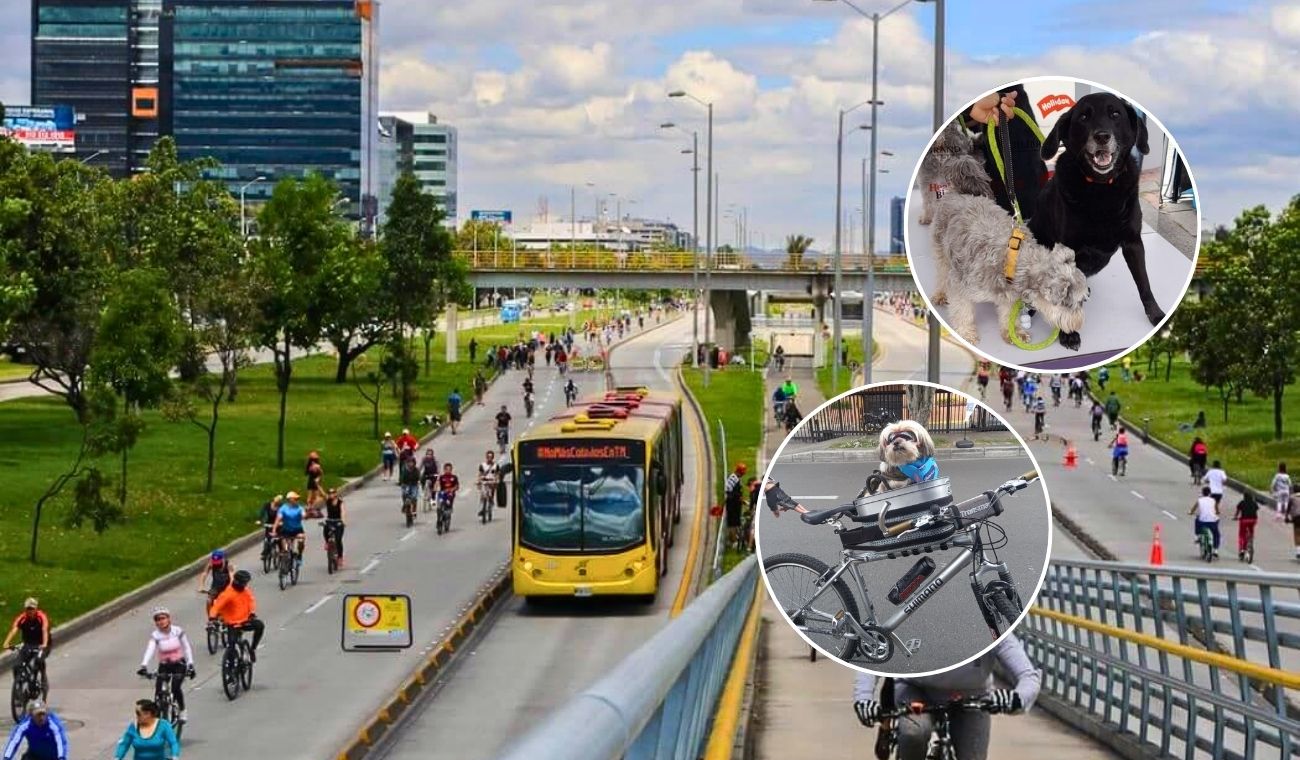 Mascotas no sufrirán en la Ciclovía de Bogotá: Distrito les arregla el pase Mascotas no sufrirán en la Ciclovía de Bogotá: Distrito les arregla el pase