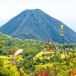 nadie lo hubiera pensado hace algunos años
