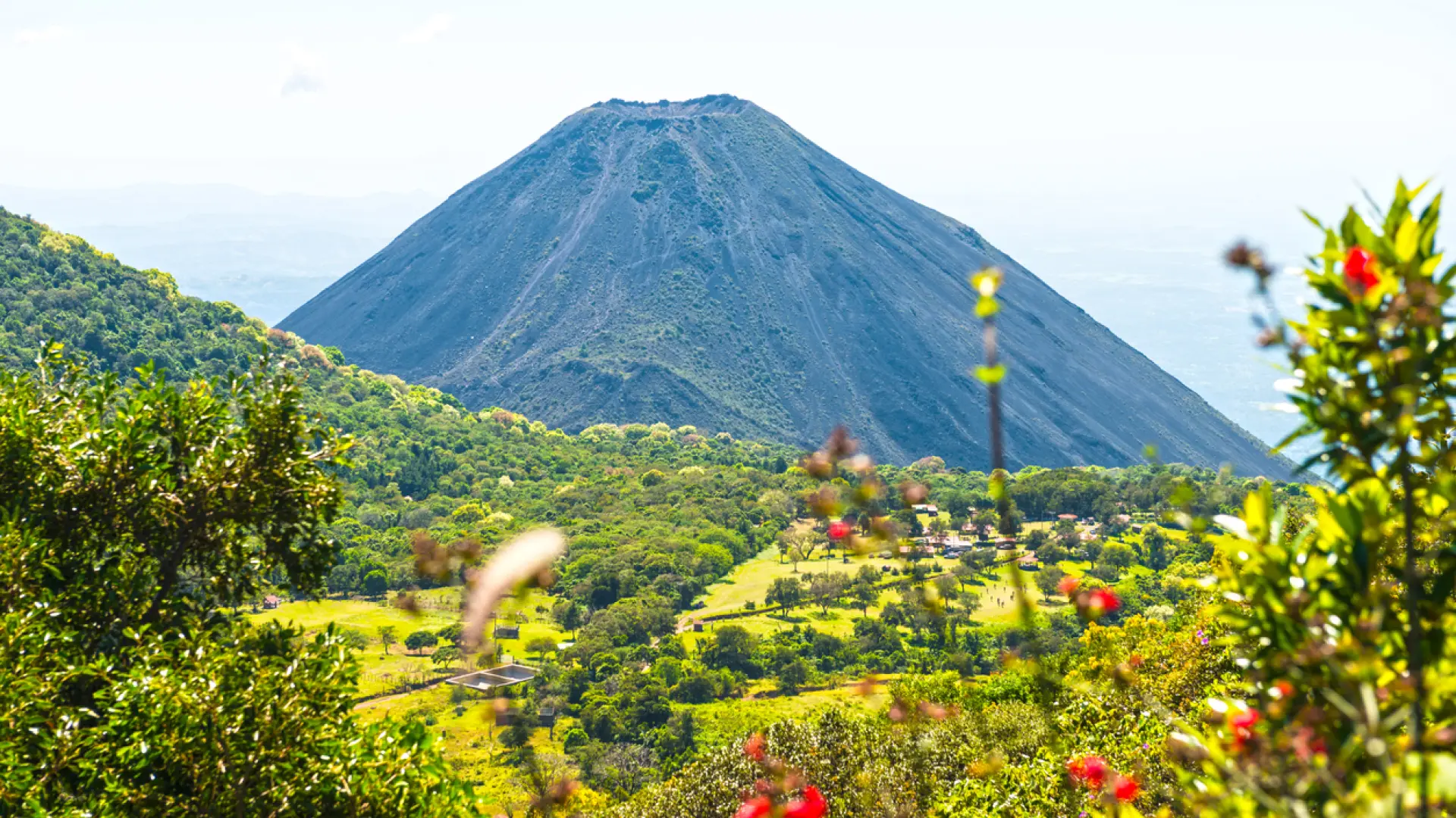 nadie lo hubiera pensado hace algunos años