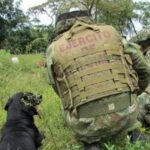 Antioquia: Un subteniente murió tras ser arrollado por un carro particular