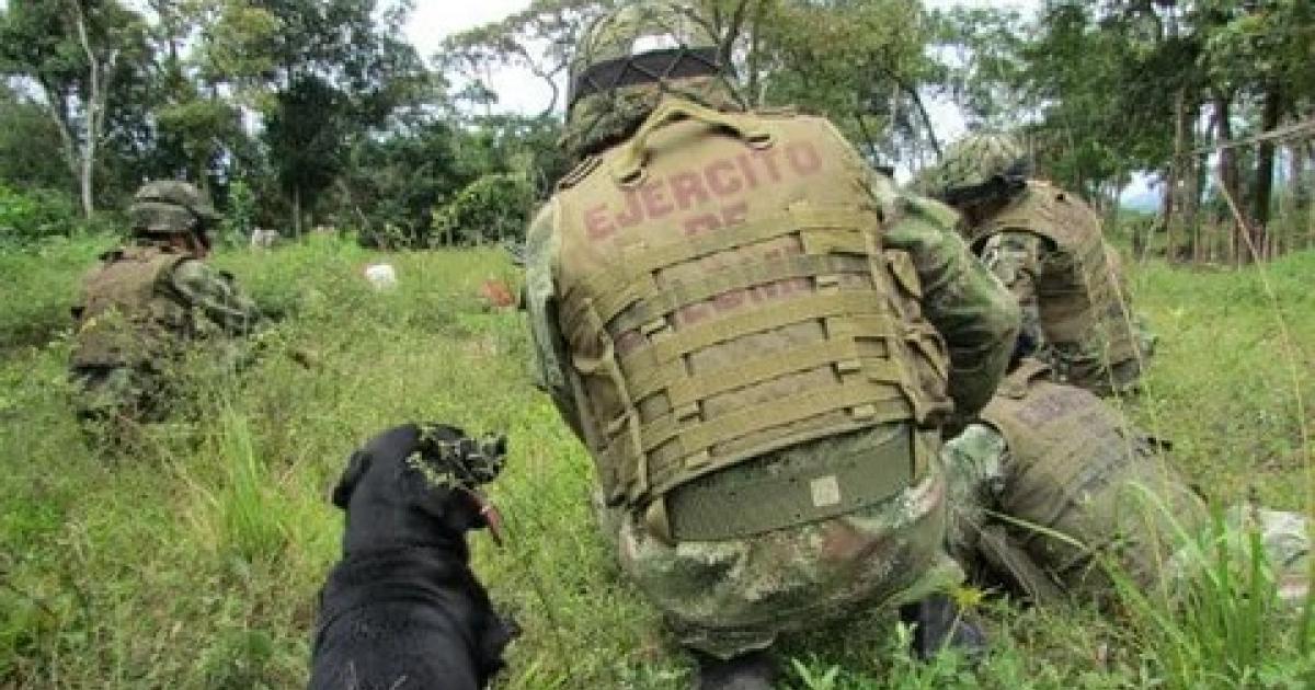 Antioquia: Un subteniente murió tras ser arrollado por un carro particular