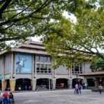 Noticias Medellín: Nombran inspectora para vigilar crisis en la UdeA