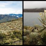 Convocatoria para proyectos culturales en Sumapaz: así puede participar Convocatoria para proyectos culturales en Sumapaz: así puede participar
