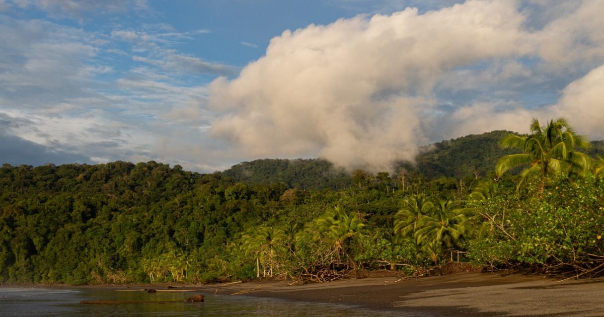 Noticias Antioquia: Tres turistas se ahogaron en Chocó