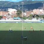 Noticias Antioquia: Abejas interrumpieron juego Envigado-Millonarios