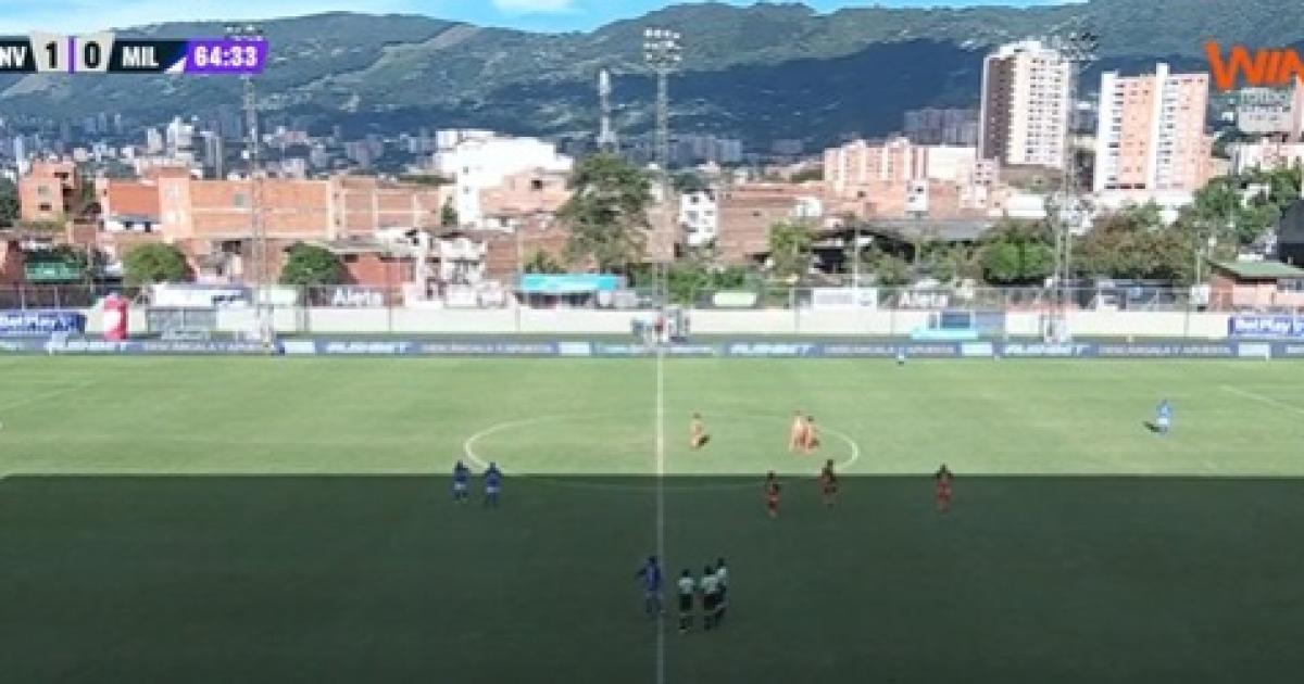 Noticias Antioquia: Abejas interrumpieron juego Envigado-Millonarios