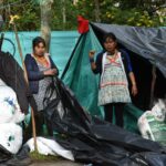 Se conocen detalles del retorno de 1.800 indígena a sus territorios