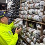 Noticias Medellín: Gorras y tennis: la millonaria mercancía de contrabando