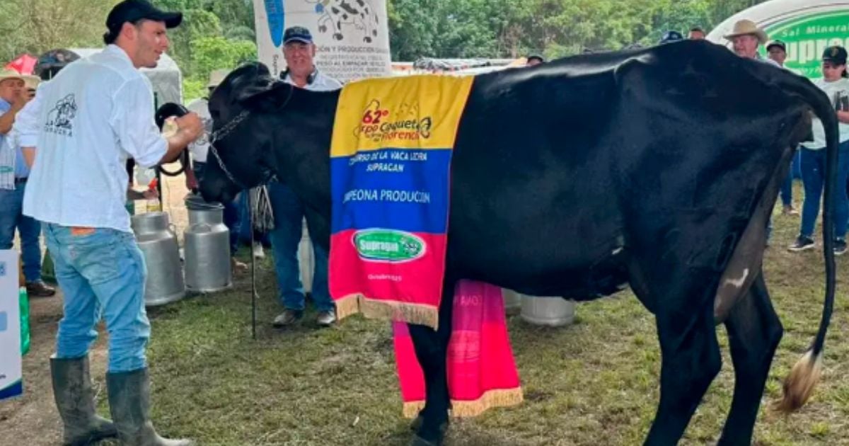 Este es el dueño de Heredera la vaca que rompió récord en producción de leche en Colombia, es del Caquetá Este es el dueño de Heredera la vaca que rompió récord en producción de leche en Colombia, es del Caquetá