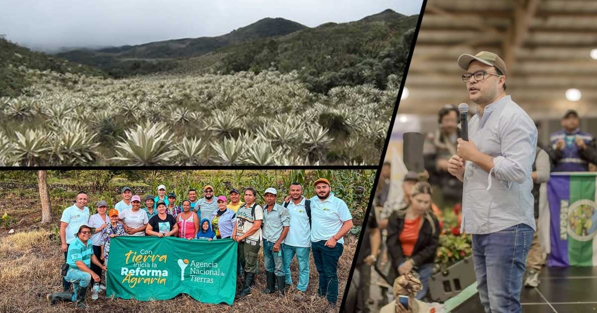 La reforma agraria de Petro está llevando a campesinos a cultivar en los parques naturales La reforma agraria de Petro está llevando a campesinos a cultivar en los parques naturales
