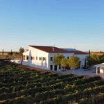 Altos de Pioz, haciendo buen vino en el páramo alcarreño