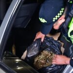 Noticias Medellín: Descubrieron arsenal para los combos de Medellín