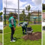 Colegio de Bosa estrena 156 nuevos árboles: estudiantes son sus guardianes