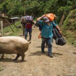 Noticias Antioquia: Procuraduría hizo llamado urgente por crisis humanitari Noticias Antioquia: Procuraduría hizo llamado urgente por crisis humanitari