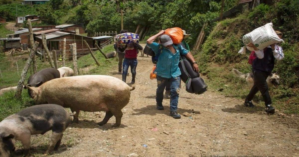 Noticias Antioquia: Procuraduría hizo llamado urgente por crisis humanitari