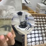 ¡Escudo anti-dengue! Rey estrena logro clave contra la fiebre amarilla