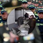 Golpe a las disidencias en Funza: .500 millones menos para el crimen Golpe a las disidencias en Funza: .500 millones menos para el crimen