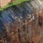 Antioquia: Familia celebra condena contra Alianza Fiduciaria