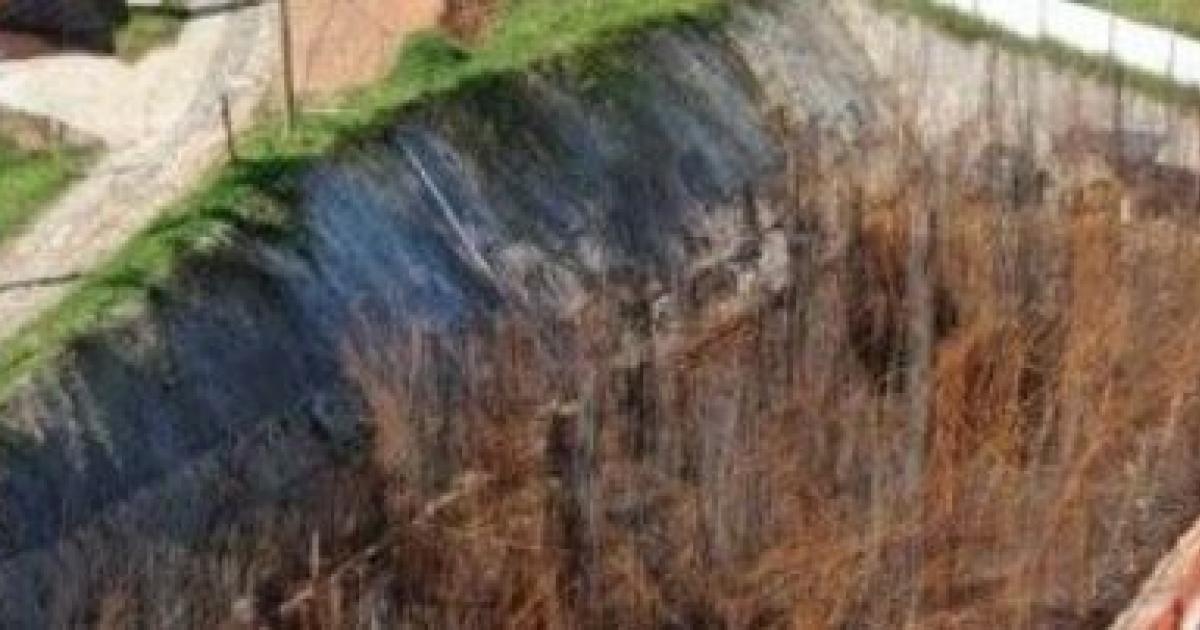 Antioquia: Familia celebra condena contra Alianza Fiduciaria Antioquia: Familia celebra condena contra Alianza Fiduciaria