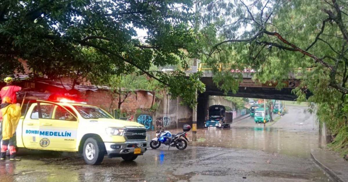Medellín: “Las quebradas no son botaderos de basura”: alcalde Medellín: “Las quebradas no son botaderos de basura”: alcalde