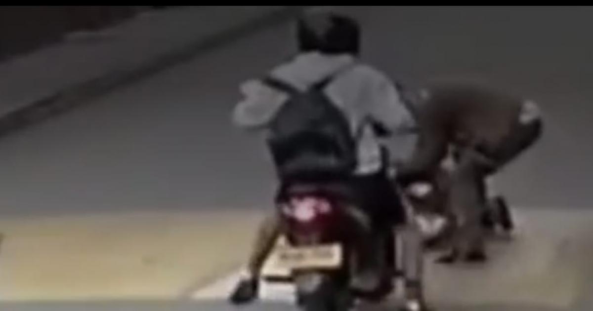 Noticias Antioquia: Se entregó motociclista que atropelló un menor de edad