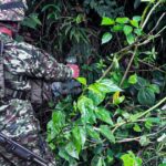Noticias Antioquia: Ejército desactivó artefacto explosivo en Yarumal