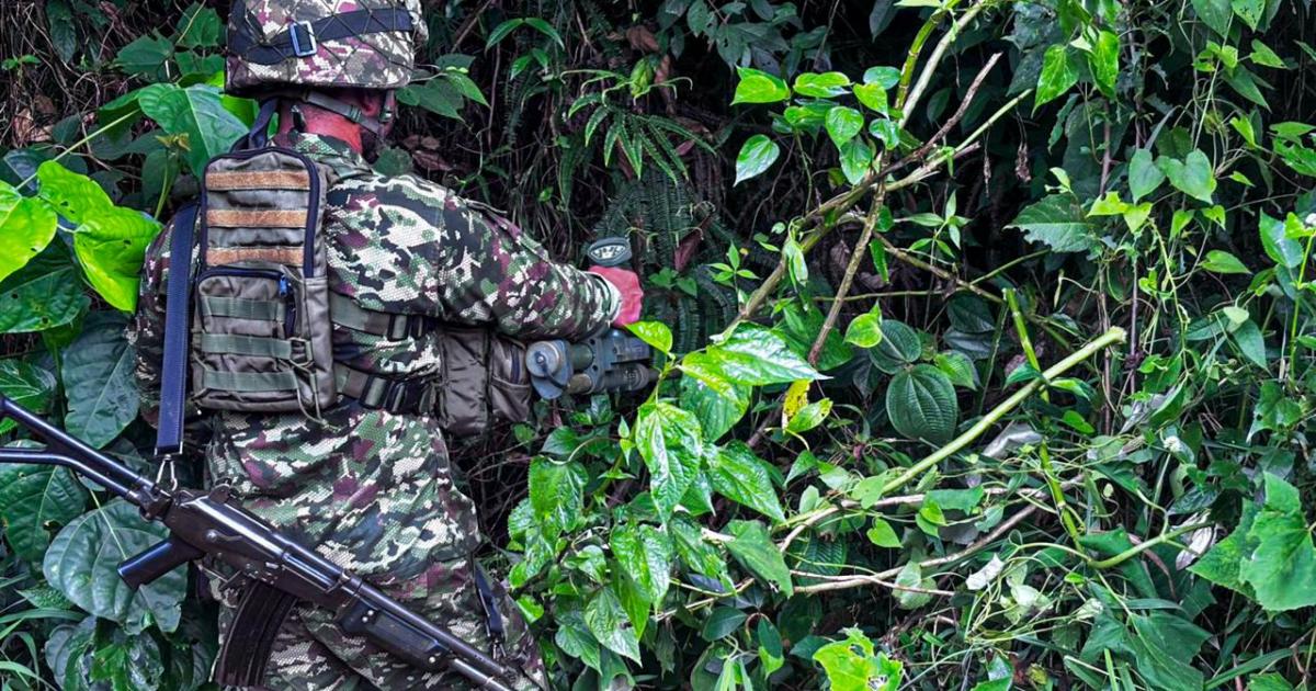 Noticias Antioquia: Ejército desactivó artefacto explosivo en Yarumal