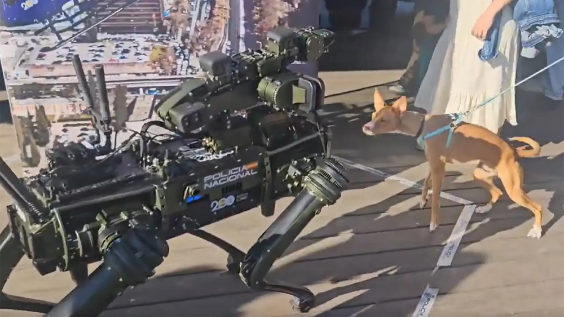 «¿Quién es ese?» El curioso encuentro entre el robot Sira de la Policía y un perro extrañado «¿Quién es ese?» El curioso encuentro entre el robot Sira de la Policía y un perro extrañado