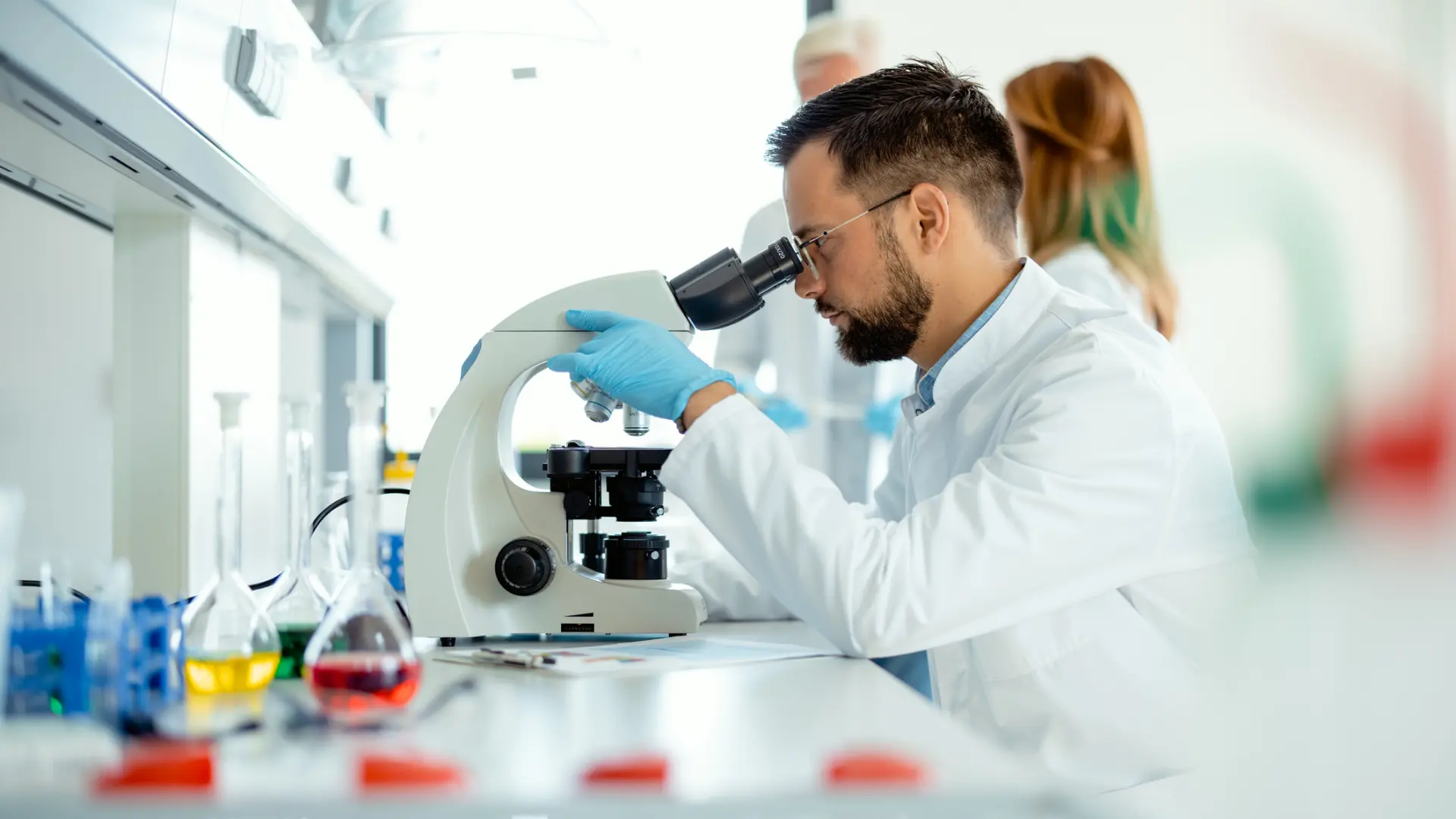 científicos descubren Capicua, la proteína que frena el desarrollo de esta enfermedad científicos descubren Capicua, la proteína que frena el desarrollo de esta enfermedad