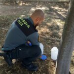 Detienen a un hombre por matar presuntamente más de 100 gatos en Villaluenga de la Sagra