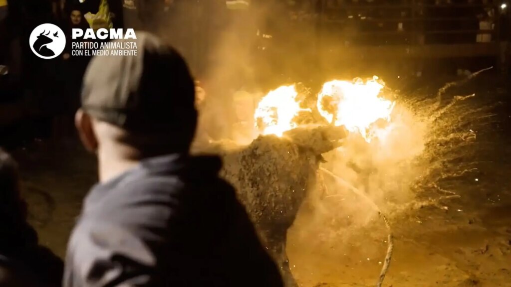 «Fuego fallido, organización desbordada y banderas franquistas» «Fuego fallido, organización desbordada y banderas franquistas»
