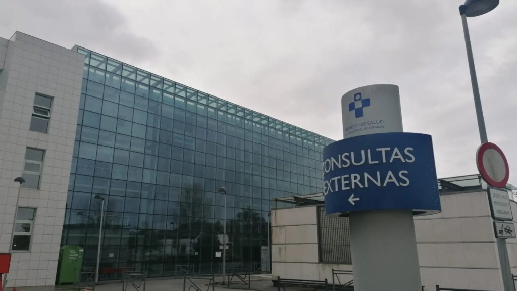 La chica de 17 años que mató a su cuñada de una puñalada en Asturias, bajo custodia en un hospital La chica de 17 años que mató a su cuñada de una puñalada en Asturias, bajo custodia en un hospital