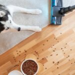 Las mejores aspiradoras sin cables de Dyson, Rowenta, Cecotec y otras marcas que ya están a precios ‘black’