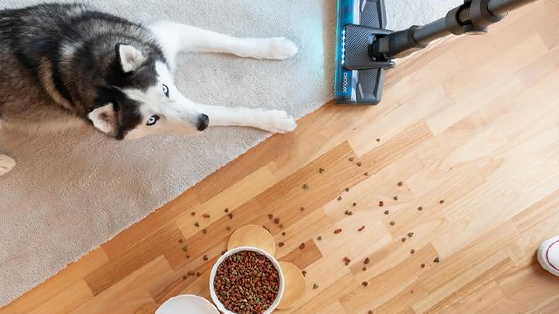 Las mejores aspiradoras sin cables de Dyson, Rowenta, Cecotec y otras marcas que ya están a precios ‘black’