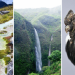 Puracé el mágico lugar de Popayán donde nacen cuatro de los grandes ríos de Colombia