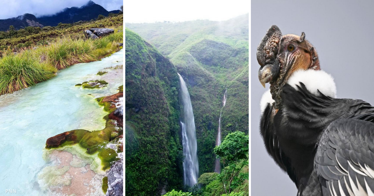 Puracé el mágico lugar de Popayán donde nacen cuatro de los grandes ríos de Colombia